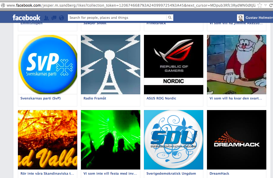 Stockholm, Upplopp, Rågsved, Swedish Defence League,  SDL